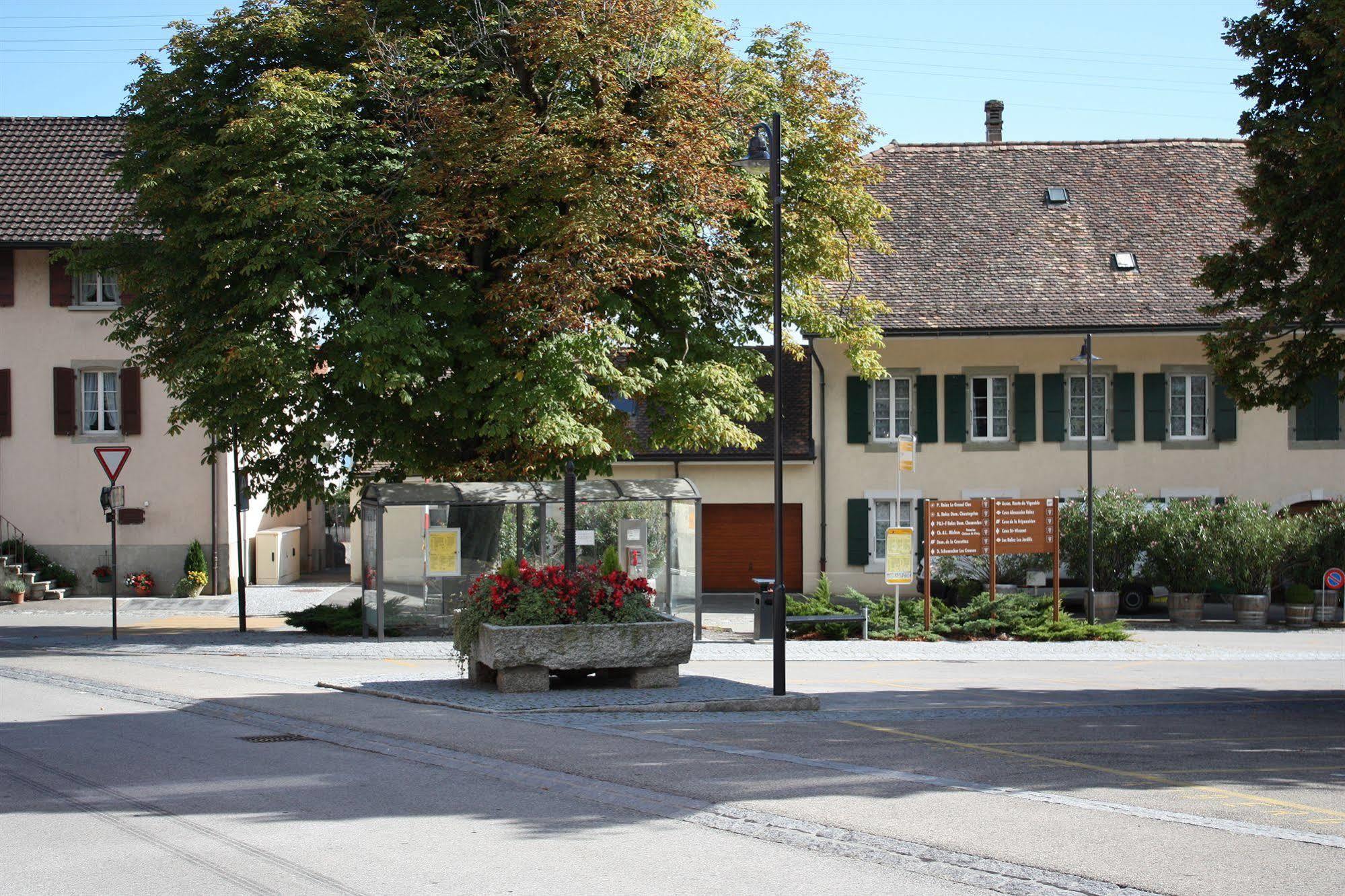 Auberge Communale à l'Union Gilly Extérieur photo